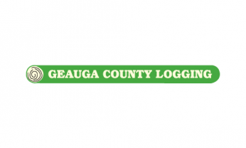 business logo