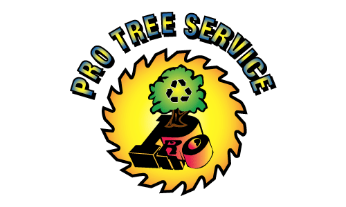 Pro Tree Service Inc - Willoughby, OH