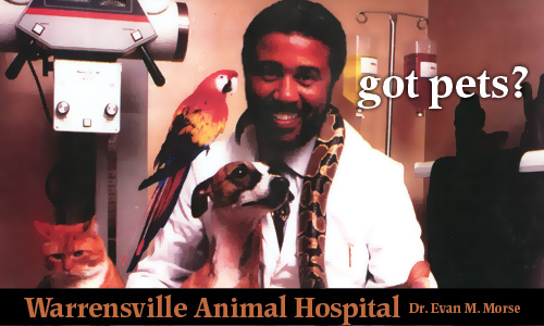 Warrensville Animal Hospital - Beachwood, OH