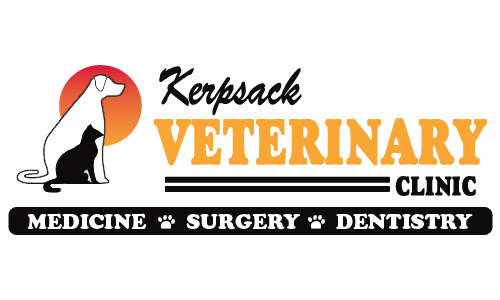 Kerpsack Robert W Dr - Youngstown, OH