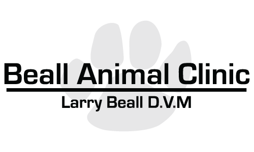 Beall Animal Clinic - Leesville, LA