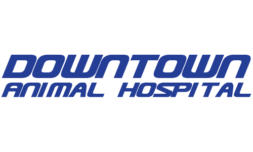 Downtown Animal Hospital - Lake Charles, LA