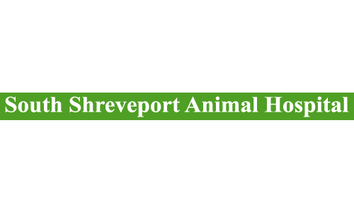 South Shreveport Animal Hospital - Shreveport, LA
