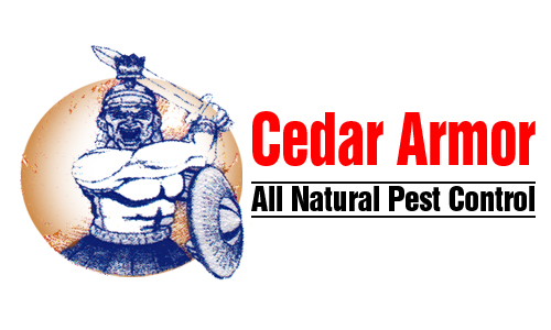 Cedar Armor - Willis, TX