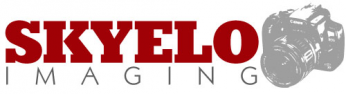 business logo