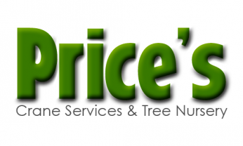 Price S Crane Service Tree Nursery La Quinta Ca Www Pricesinc Com 760 777 7325
