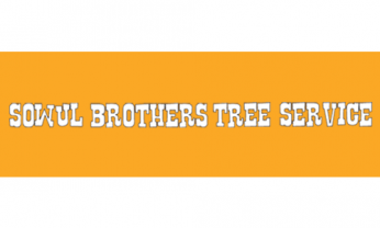 business logo