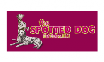business logo