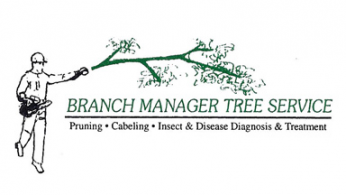 business logo