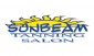 business logo